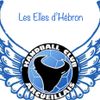 Logo of the association Les Elles d'Hébron